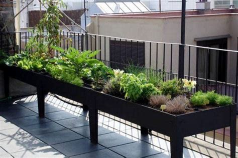 raised gardens for balconies